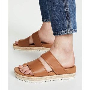 Vince Floyd Slides